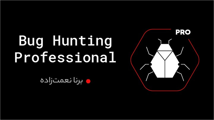 دوره Bug Hunting Professional 